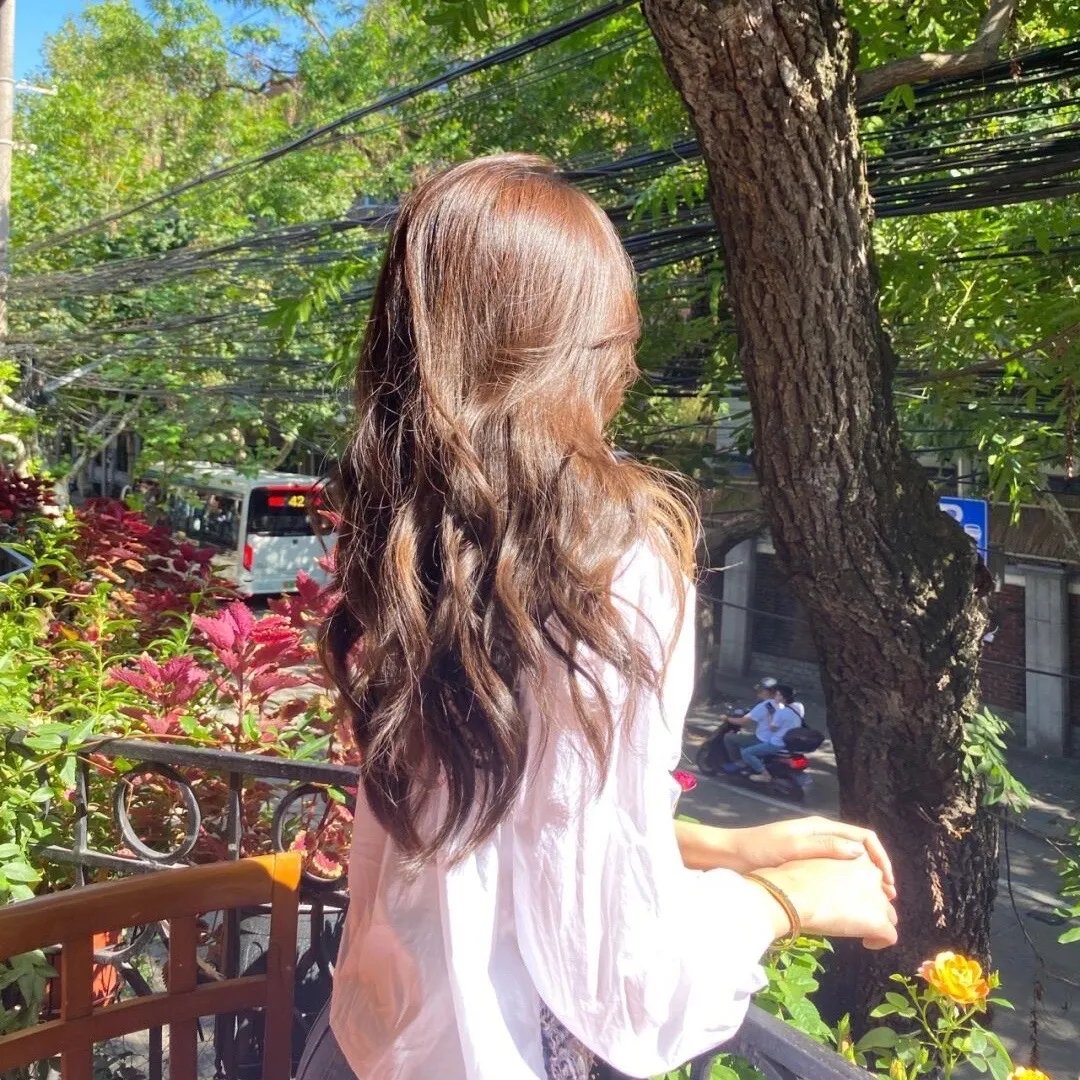 美人鱼的夏天